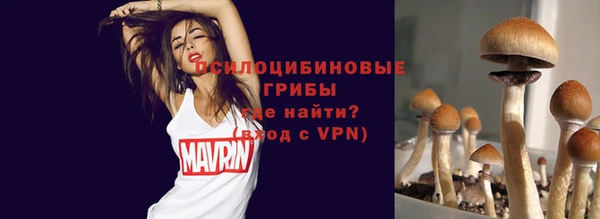 MESCALINE Белокуриха