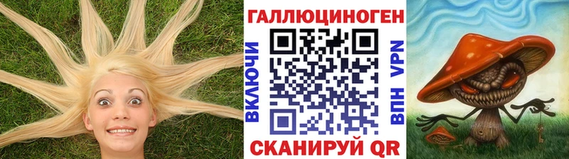 Галлюциногенные грибы Psilocybe  Купить закладки  Дальнегорск 